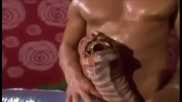 Watch Monster Penis WTF total Videos
